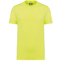 Fluorescent Yellow